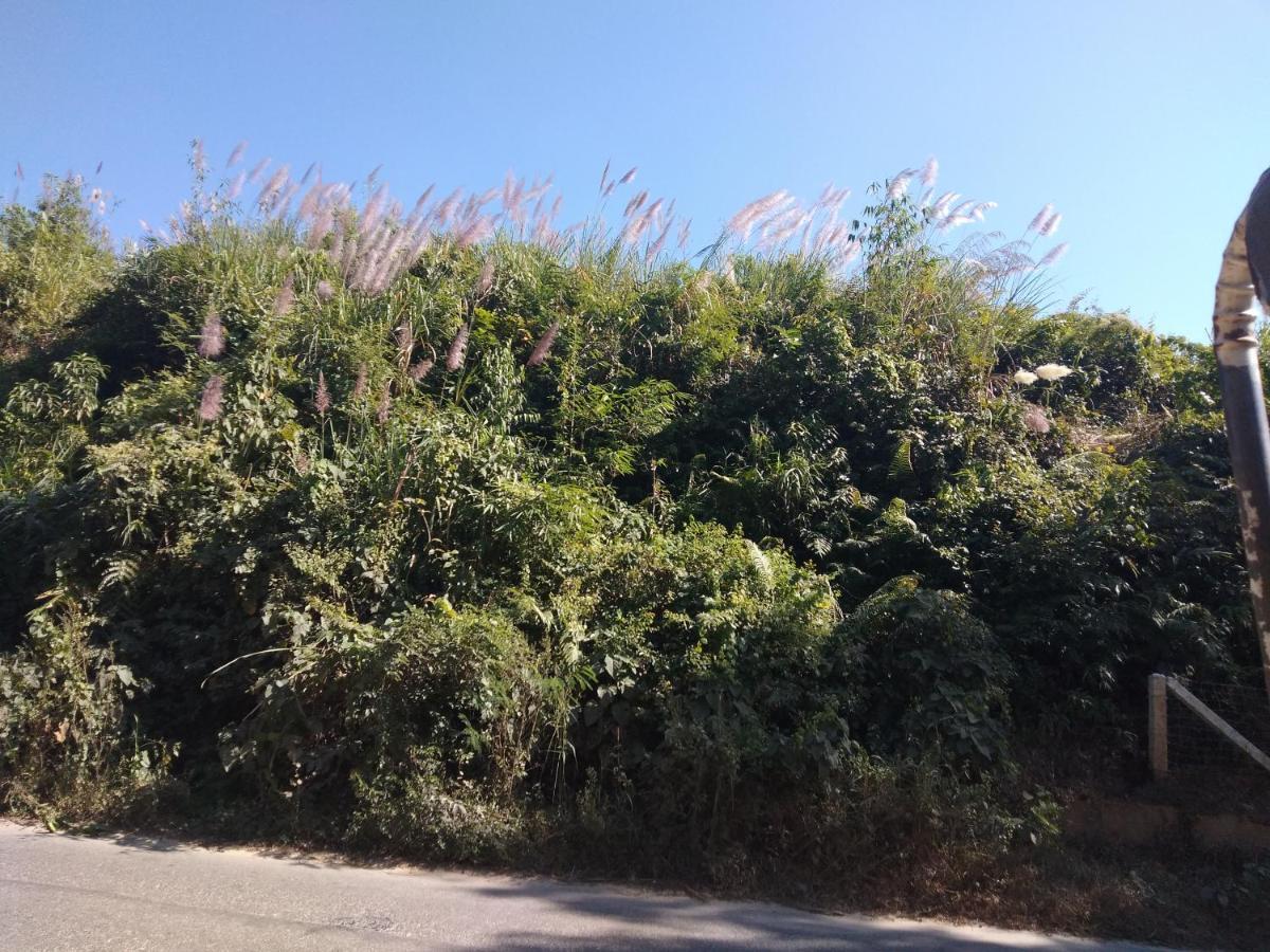 Grand Selim Resort & Tour - Gsrt Sreemangal Upazila Dış mekan fotoğraf